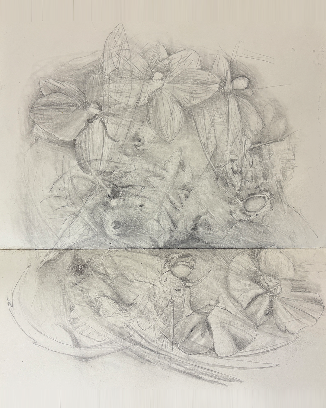 Overlay Study, pencil on paper by Geoff Holle.