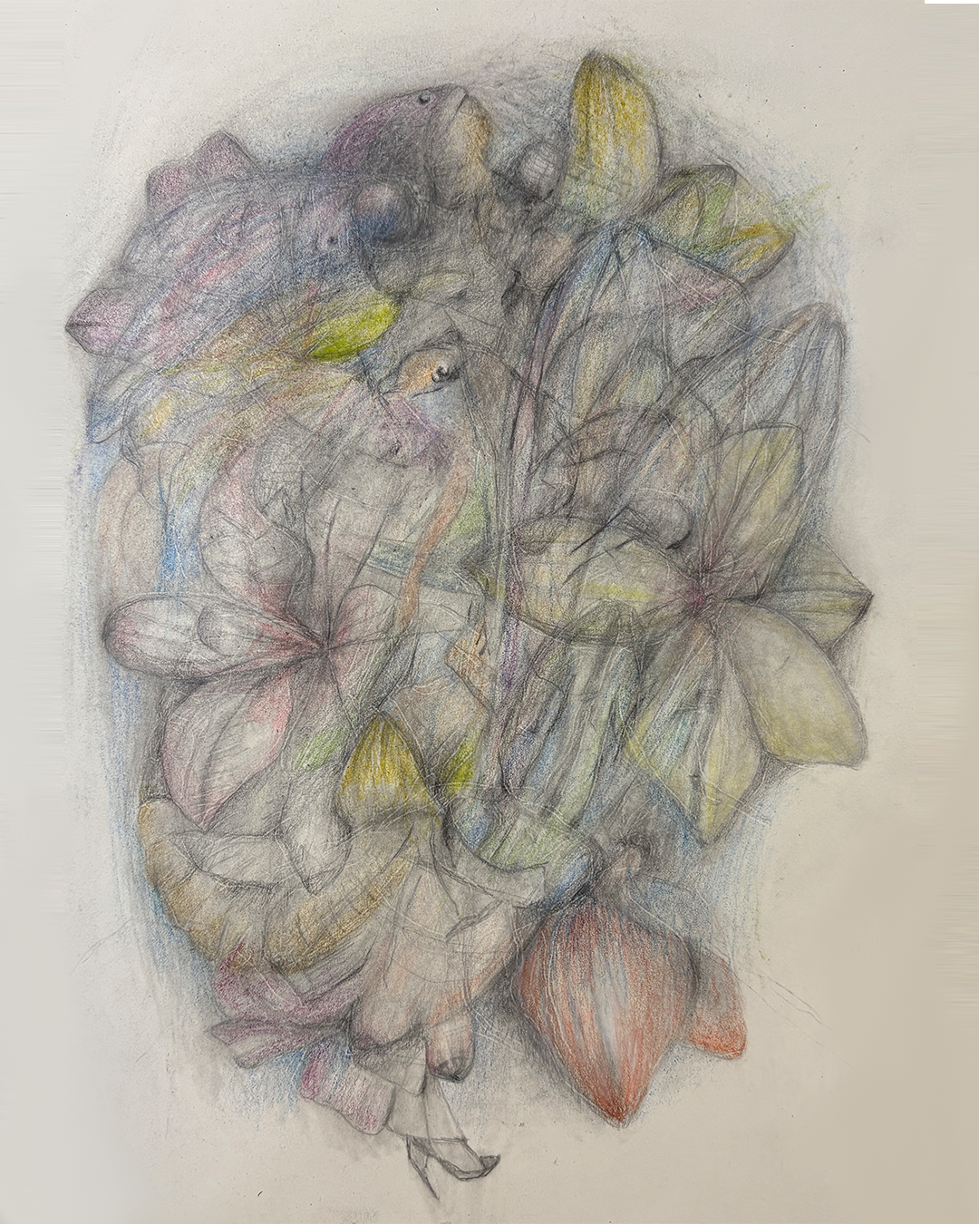 Overlay Study, pencil on paper by Geoff Holle.