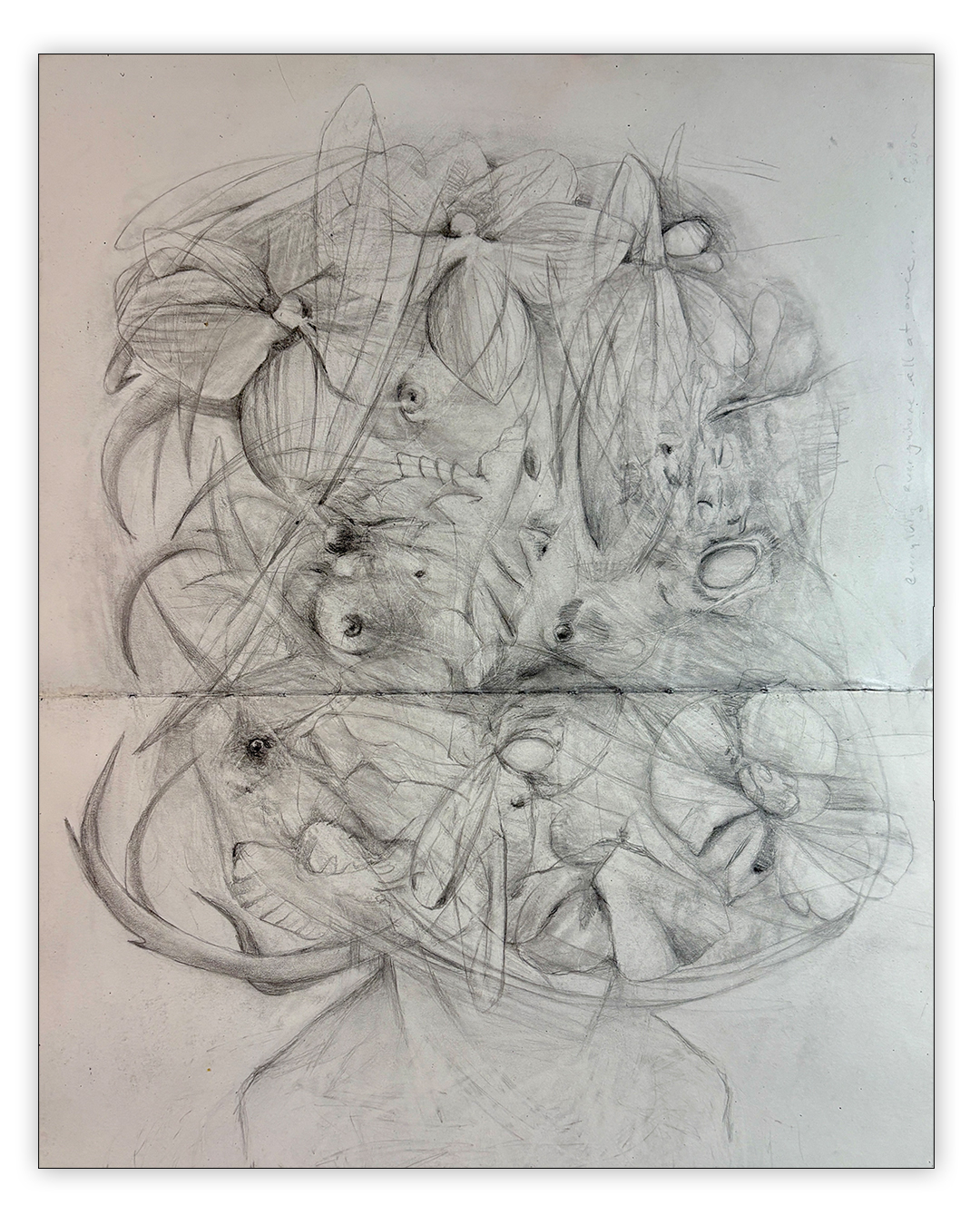 Drawing, pencil on paper by Geoff Holle.